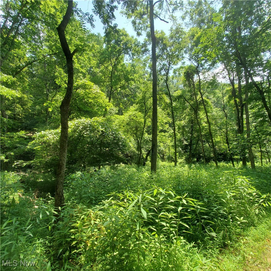 22 County Rt Street St. Marys, WV 26170 - Photo 24 of 27 View of woods