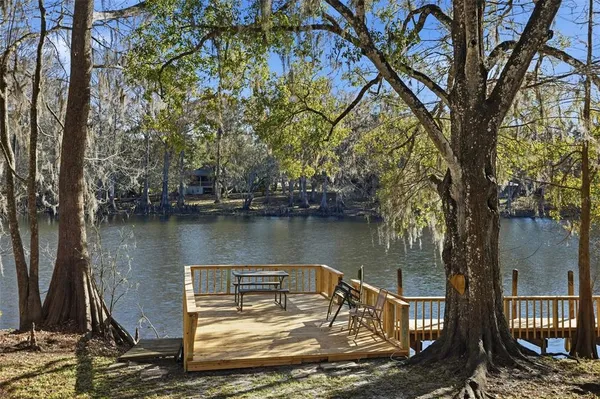 a view of a lake with a large trees
