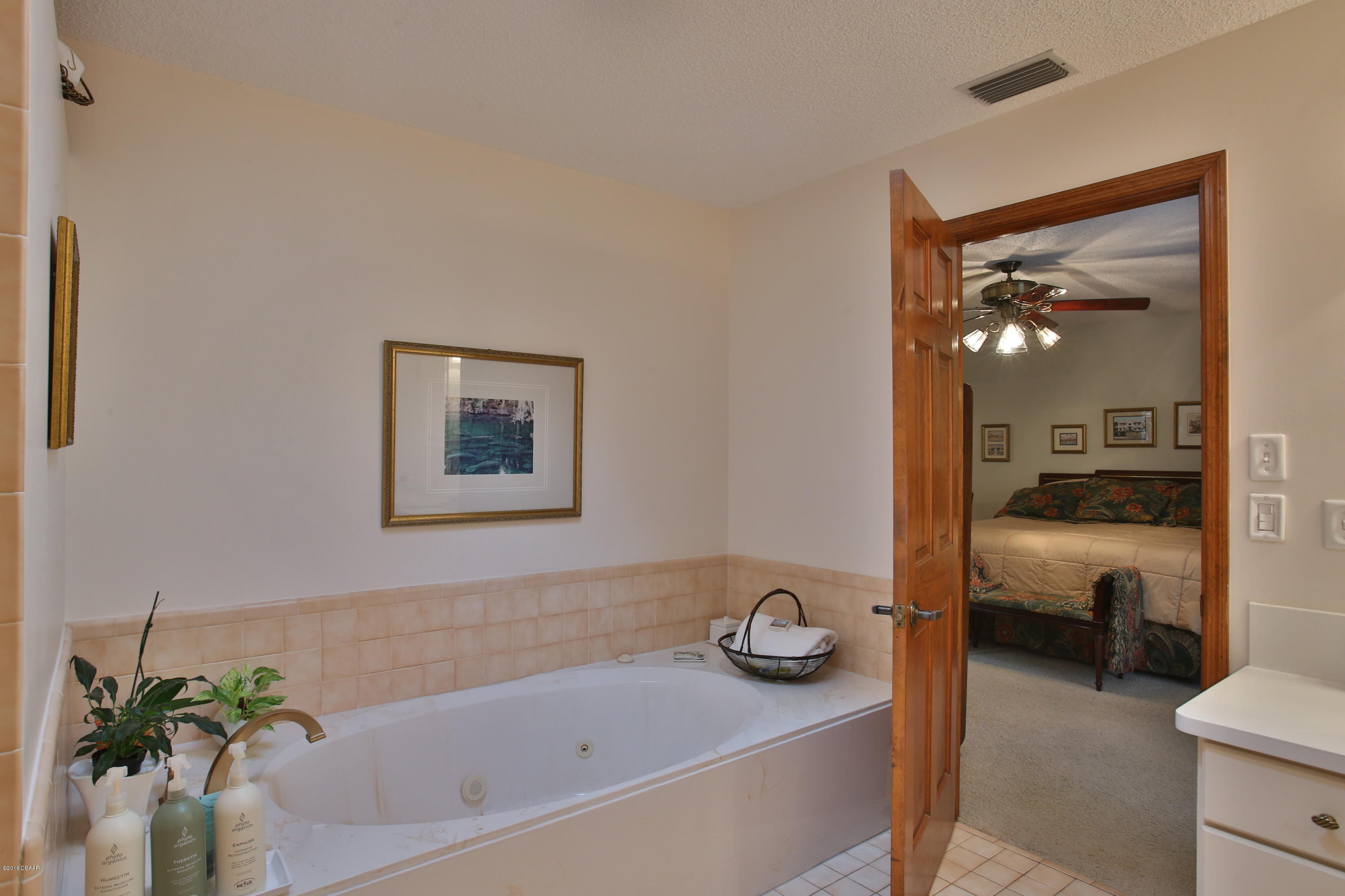 657 Needlerush Road Port Orange, FL 32127 - Photo 24 of 29 Jacuzzi Tub for two