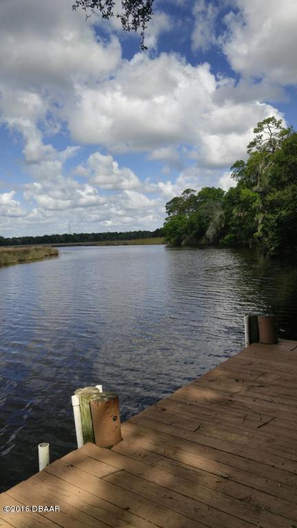 657 Needlerush Road Port Orange, FL 32127 - Photo 29 of 29 HOA Dock -SC River