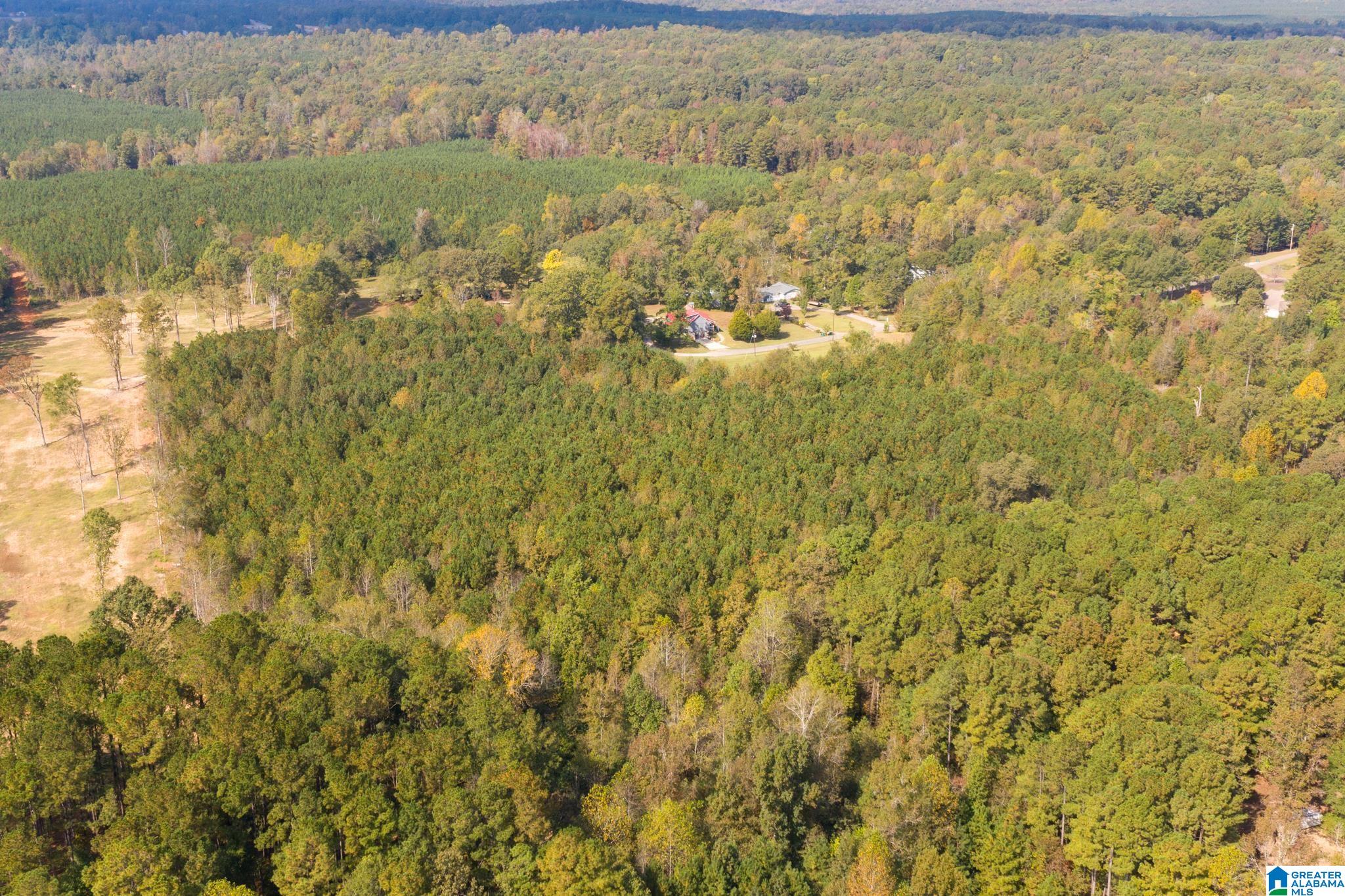 0 Olde S Spur McCalla, AL 35111 - Photo 18 of 25