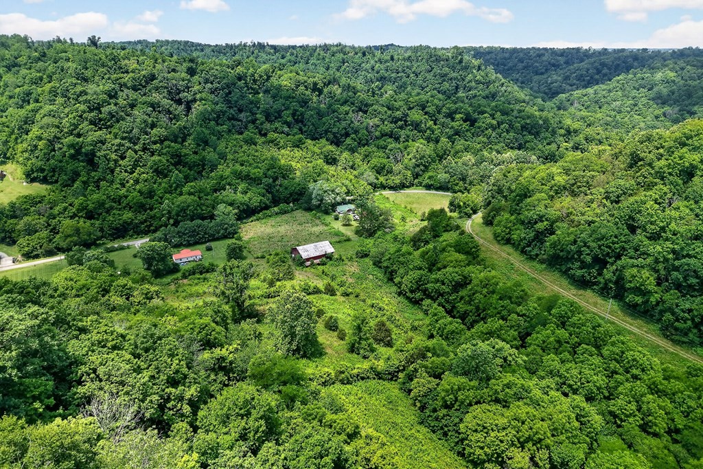 747 Hunting Creek Road Whitleyville, TN 38588 - Photo 10 of 33