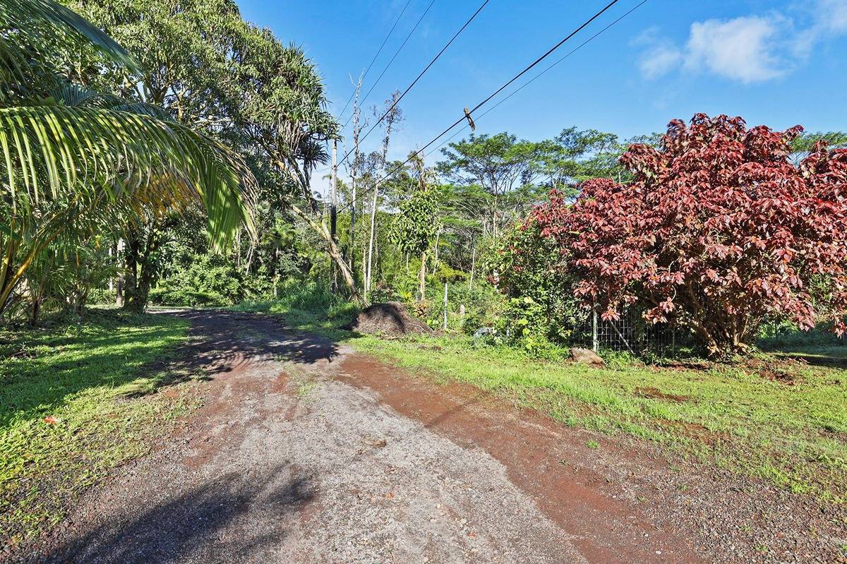 1014 Maui Road Pahoa, HI 96778 - Photo 11 of 30 Gallery Image 11
