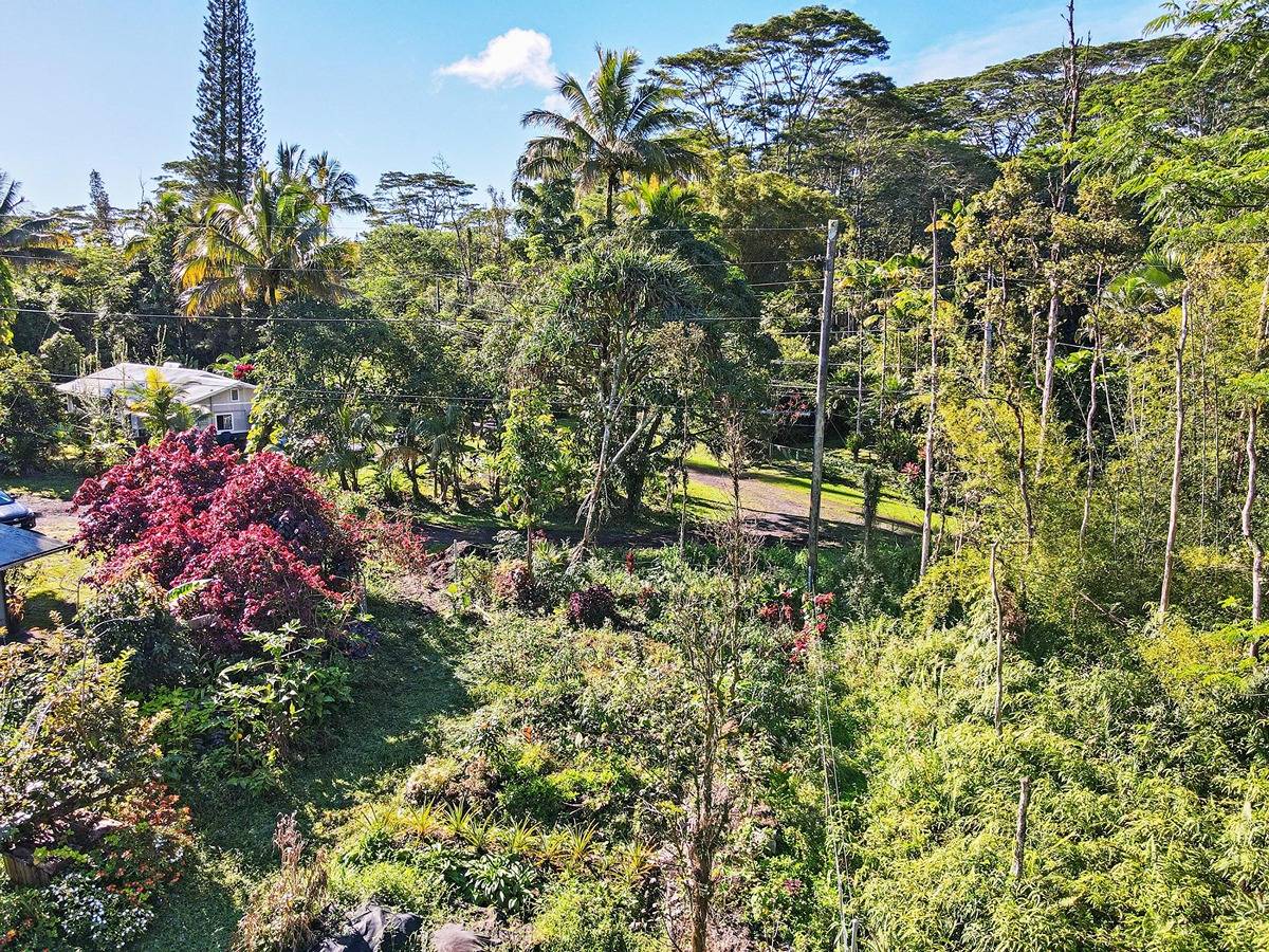 1014 Maui Road Pahoa, HI 96778 - Photo 13 of 30 Gallery Image 13