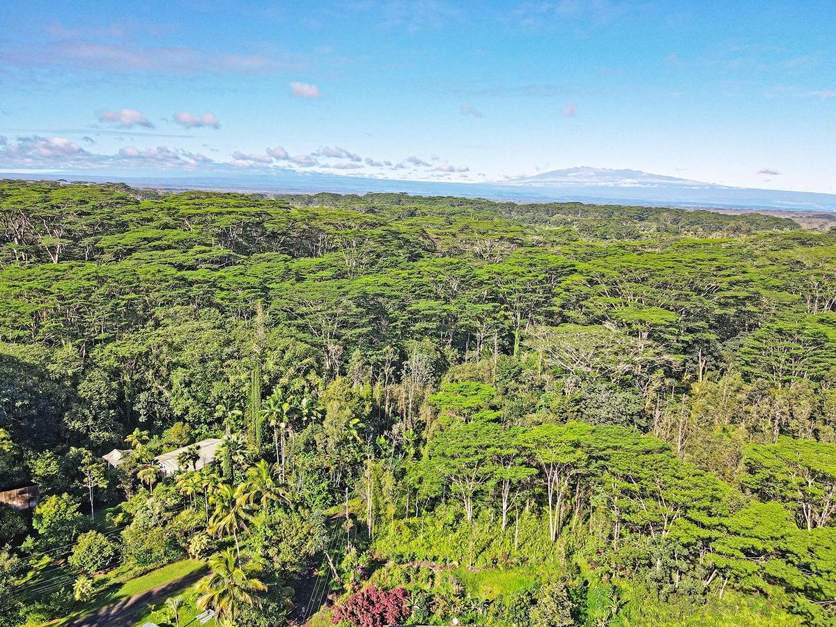 1014 Maui Road Pahoa, HI 96778 - Photo 14 of 30 Gallery Image 14