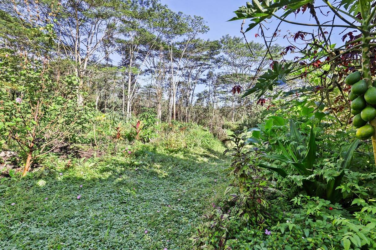 1014 Maui Road Pahoa, HI 96778 - Photo 20 of 30 Gallery Image 20