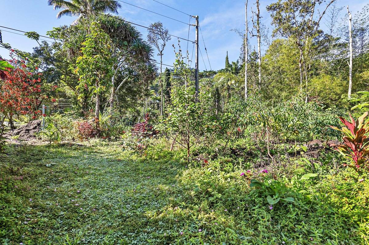 1014 Maui Road Pahoa, HI 96778 - Photo 2 of 30 Gallery Image 2