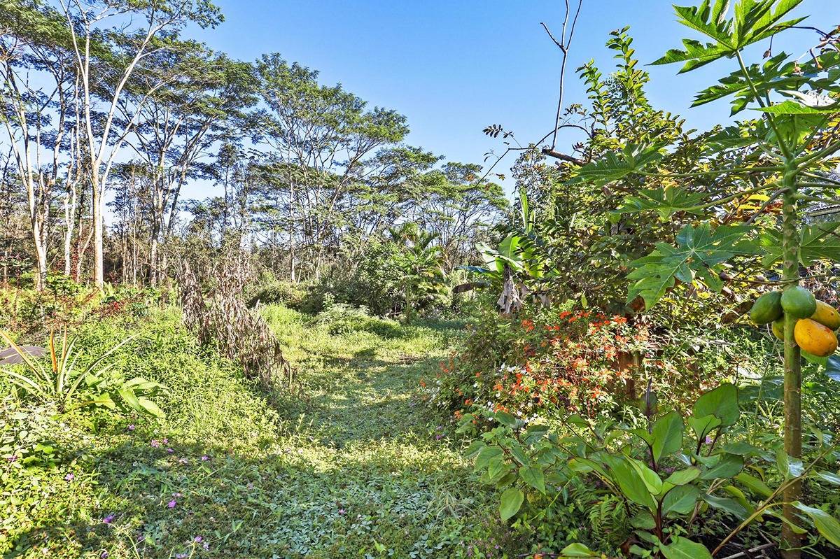 1014 Maui Road Pahoa, HI 96778 - Photo 21 of 30 Gallery Image 21