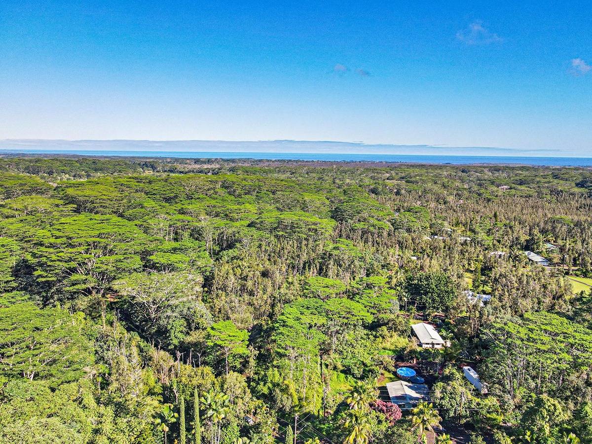 1014 Maui Road Pahoa, HI 96778 - Photo 22 of 30 Gallery Image 22