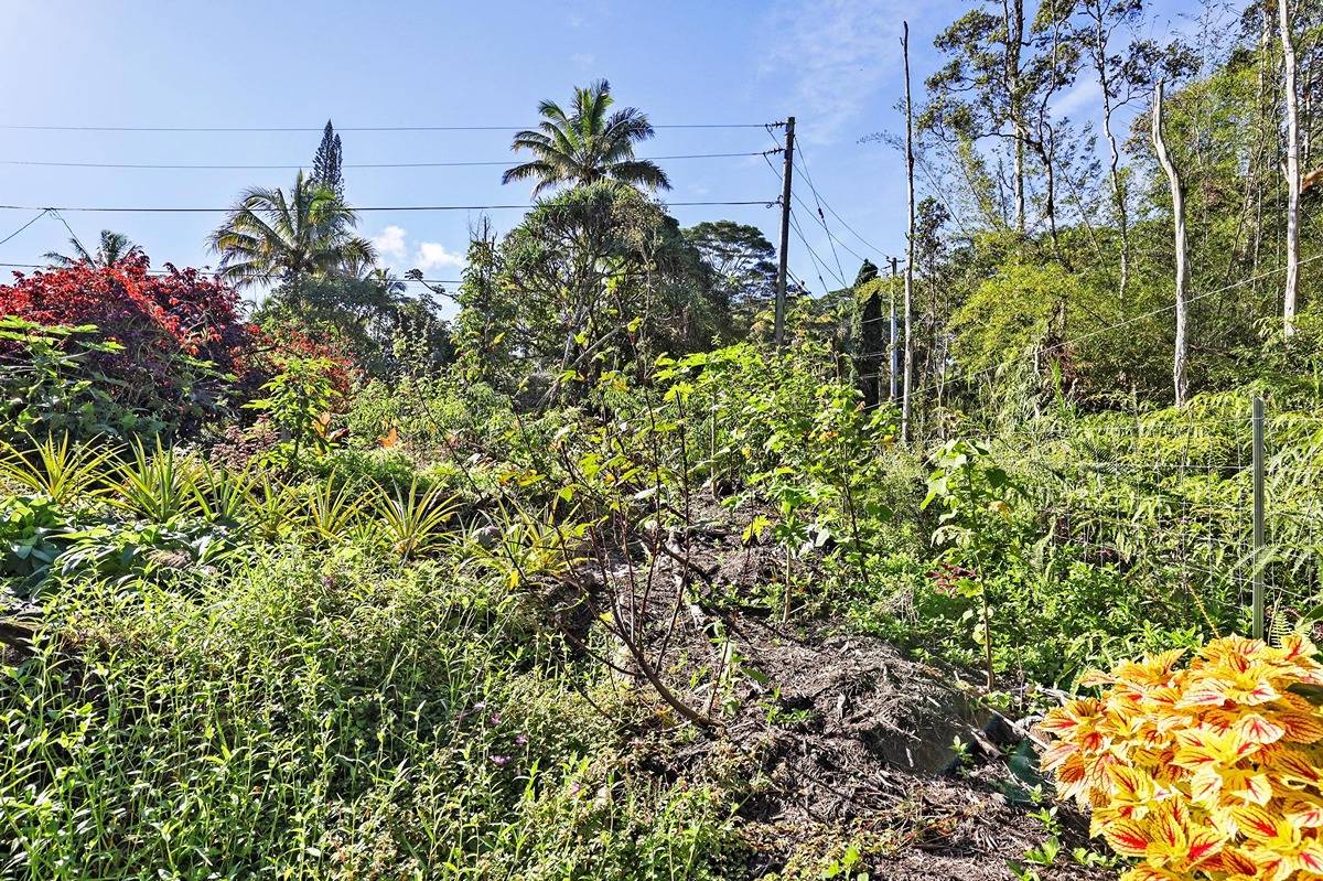 1014 Maui Road Pahoa, HI 96778 - Photo 3 of 30 Gallery Image 3