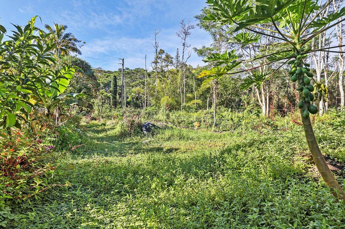 1014 Maui Road Pahoa, HI 96778 - Photo 5 of 30 Gallery Image 5