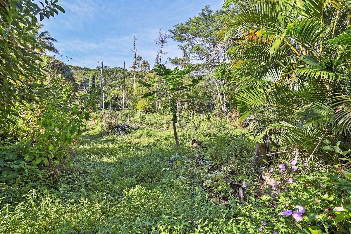 1014 Maui Road Pahoa, HI 96778 - Photo 6 of 30 Gallery Image 6