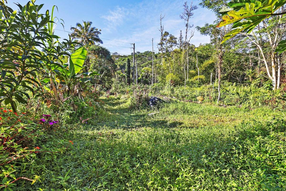 1014 Maui Road Pahoa, HI 96778 - Photo 7 of 30 Gallery Image 7