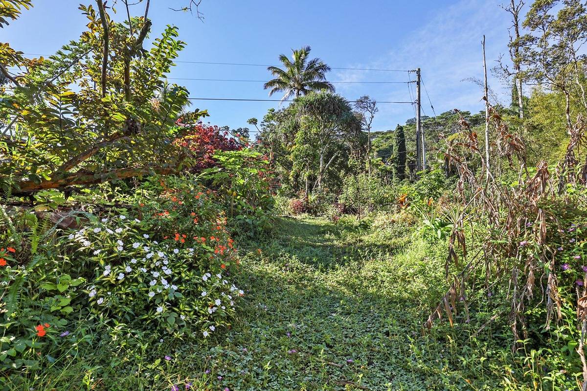 1014 Maui Road Pahoa, HI 96778 - Photo 9 of 30 Gallery Image 9