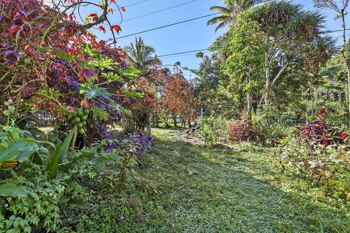 1014 Maui Road Pahoa, HI 96778 - Photo 10 of 30 Gallery Image 10