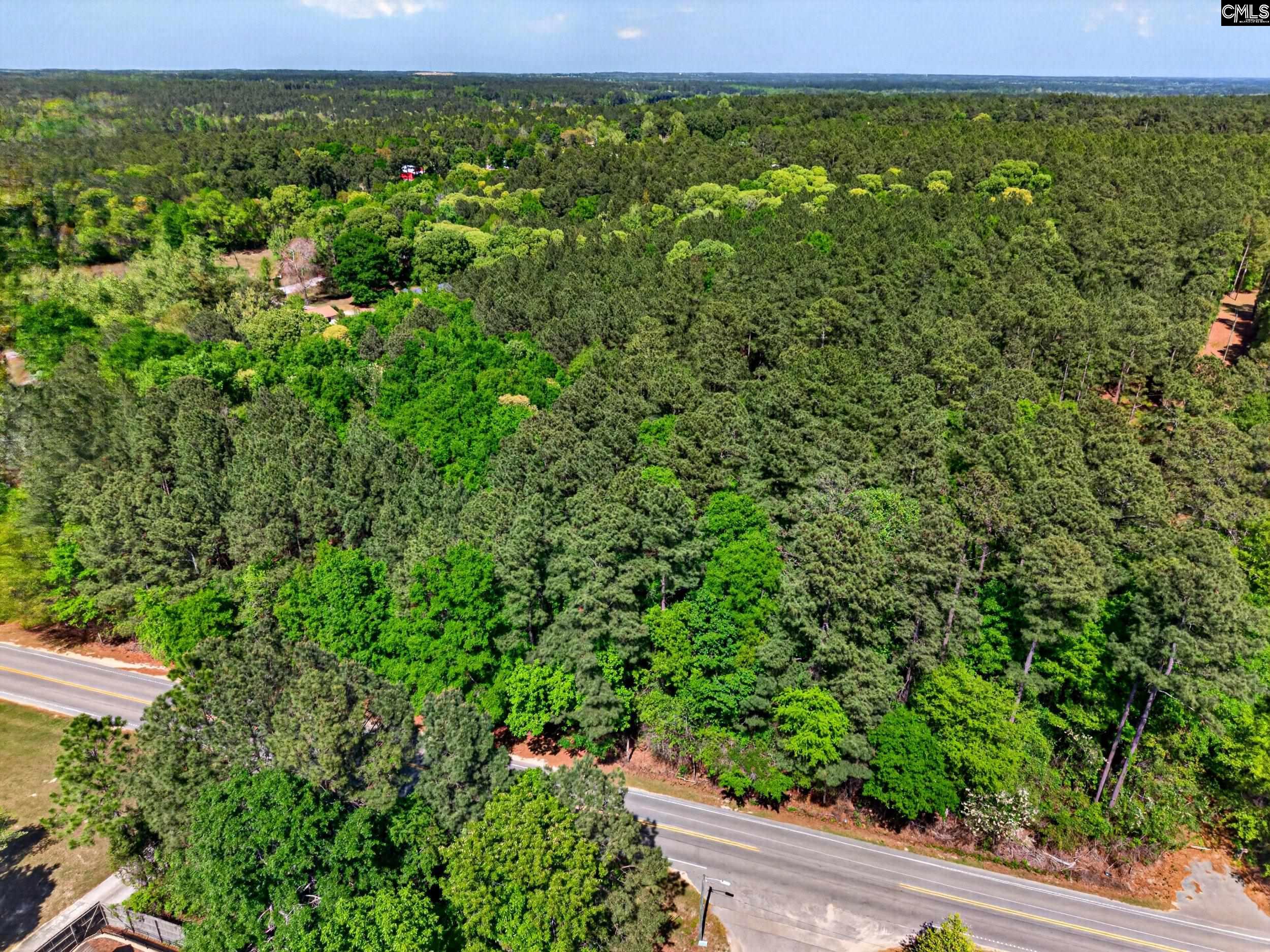 219 Juniper Springs Road, Unit PARCEL A &B Gilbert, SC 29054 - Photo 4 of 5