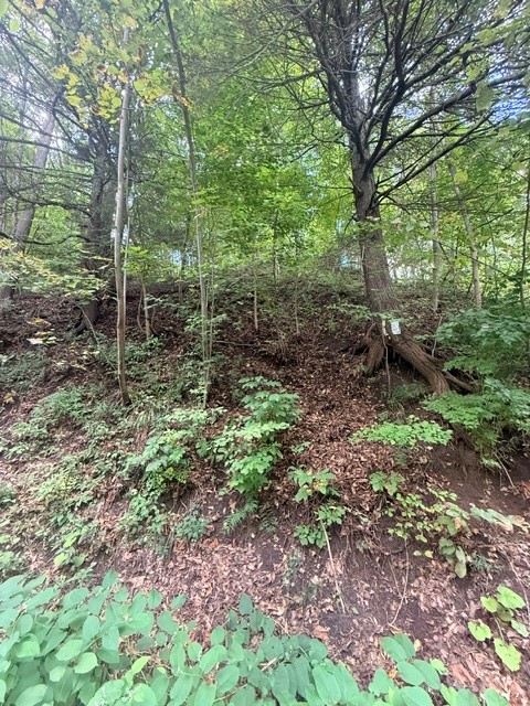 Hill Road Millport, NY 14864 - Photo 10 of 14 Gallery Image 10