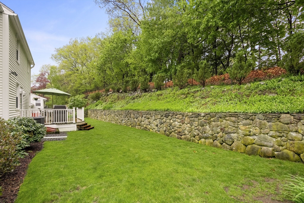 5 Brewster Road Arlington, MA 02478 - Photo 38 of 39 a view of yard with swimming pool and green space