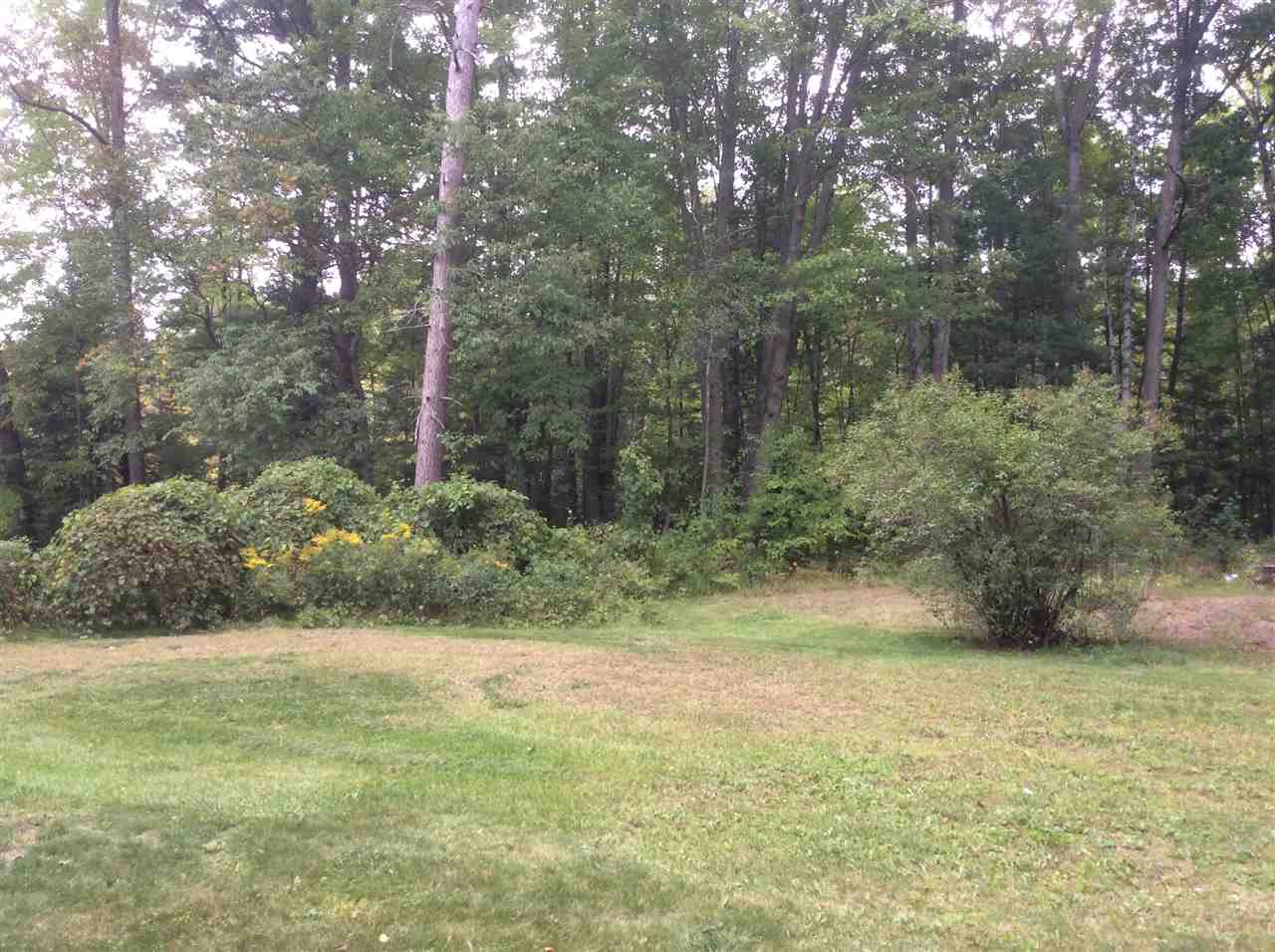 1824 Littlefield Road Farwell, MI 48622 - Photo 34 of 38 1880255-33.JPG