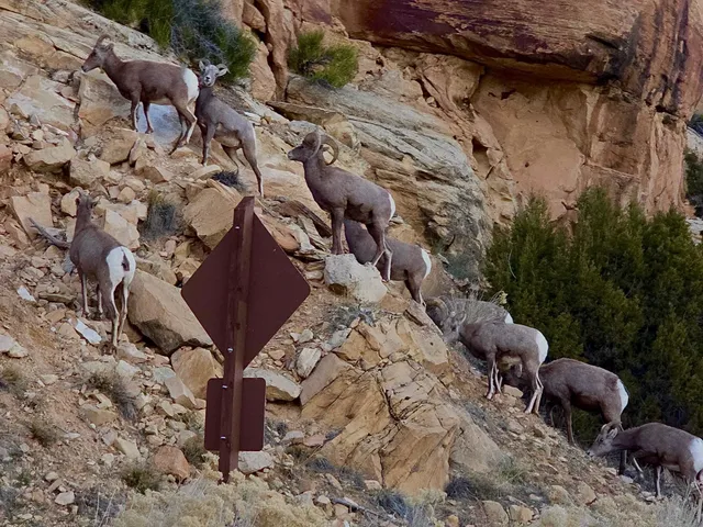 $1,100,000 | 239 West Fallen Rock Road, Grand Junction, CO 81507