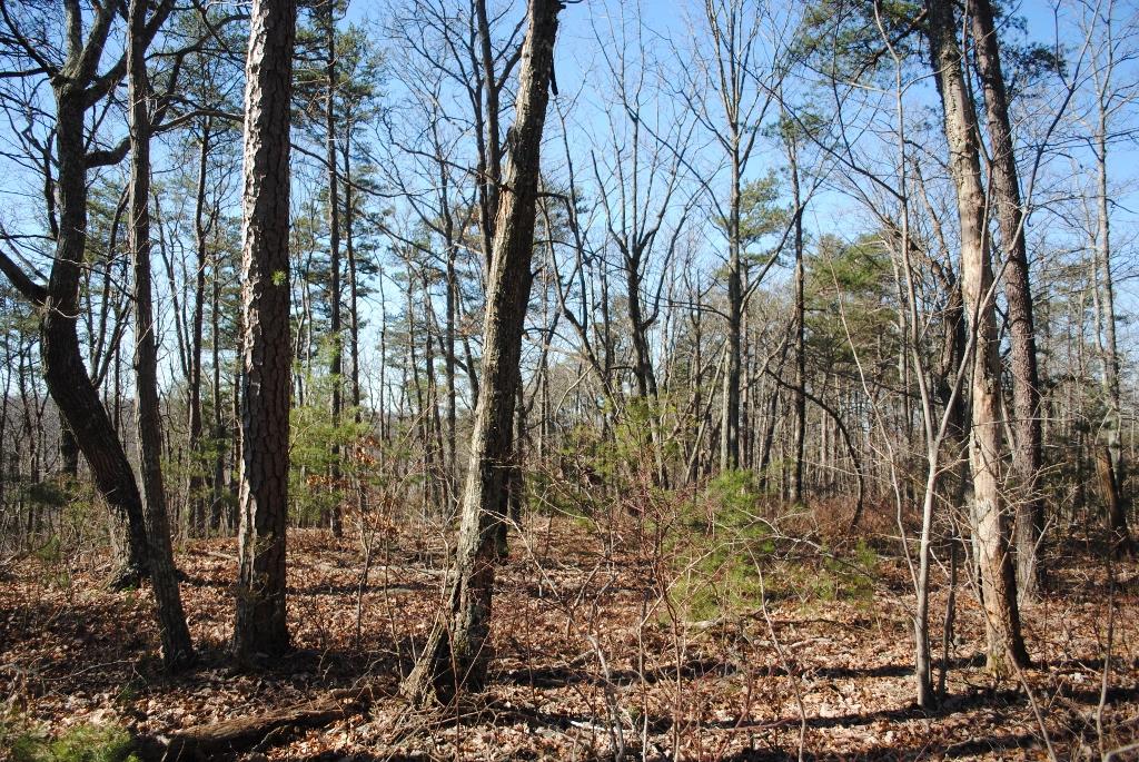 11944 Hwy 157 Rising Fawn Ga 30738, Unit 4 Rising Fawn, GA 30738 - Photo 17 of 46 DSC_0018 (1024x685)