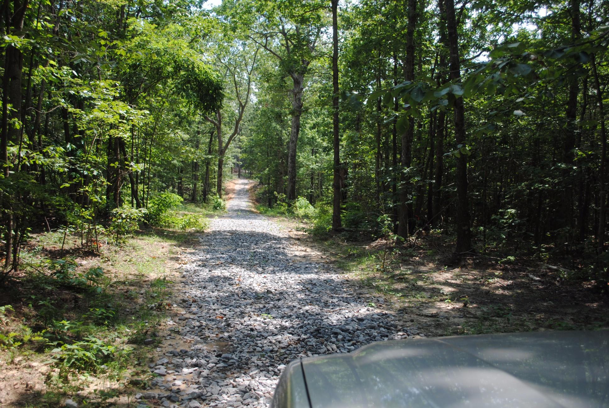 11944 Hwy 157 Rising Fawn Ga 30738, Unit 4 Rising Fawn, GA 30738 - Photo 28 of 46 DSC_0028