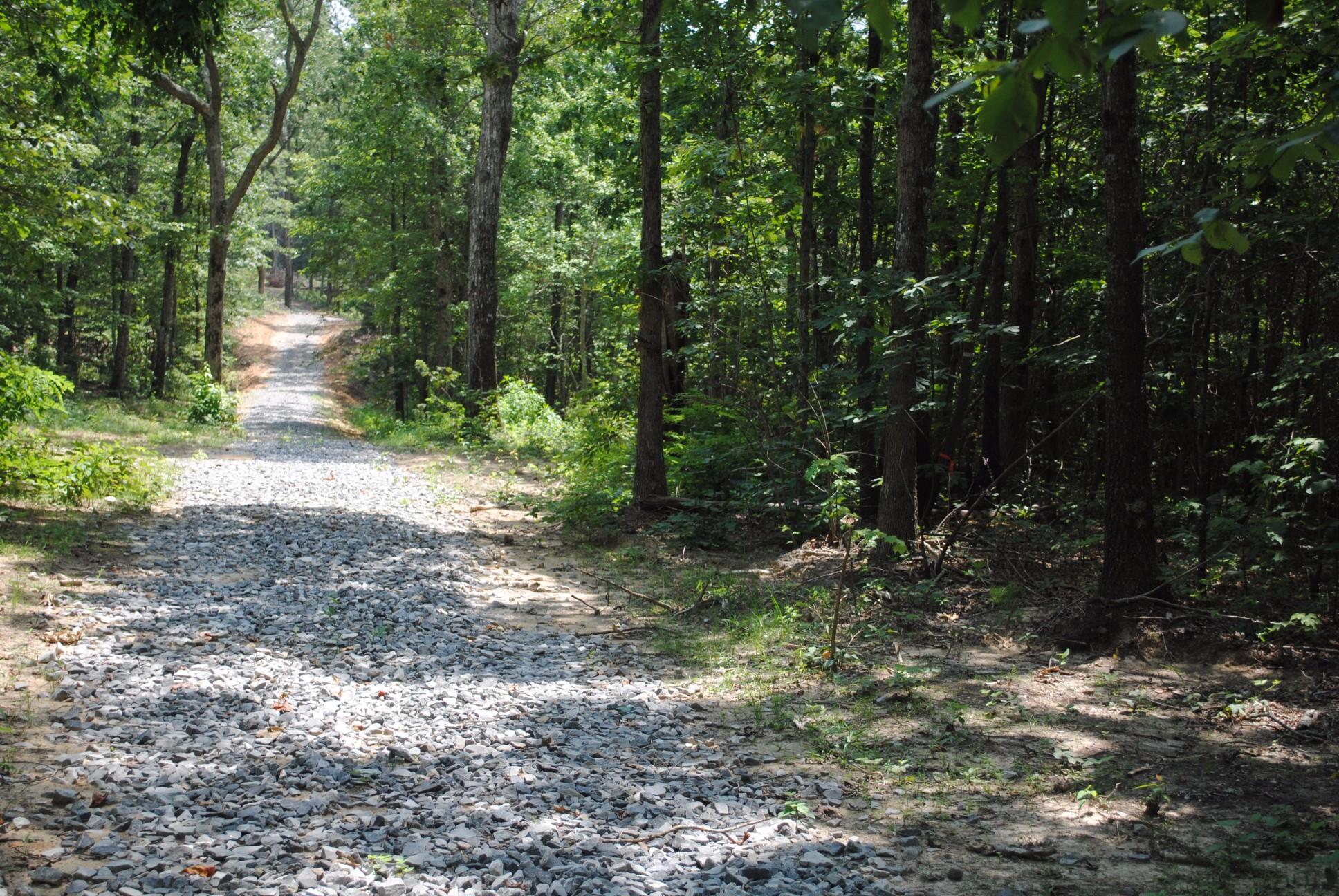11944 Hwy 157 Rising Fawn Ga 30738, Unit 4 Rising Fawn, GA 30738 - Photo 29 of 46 DSC_0029
