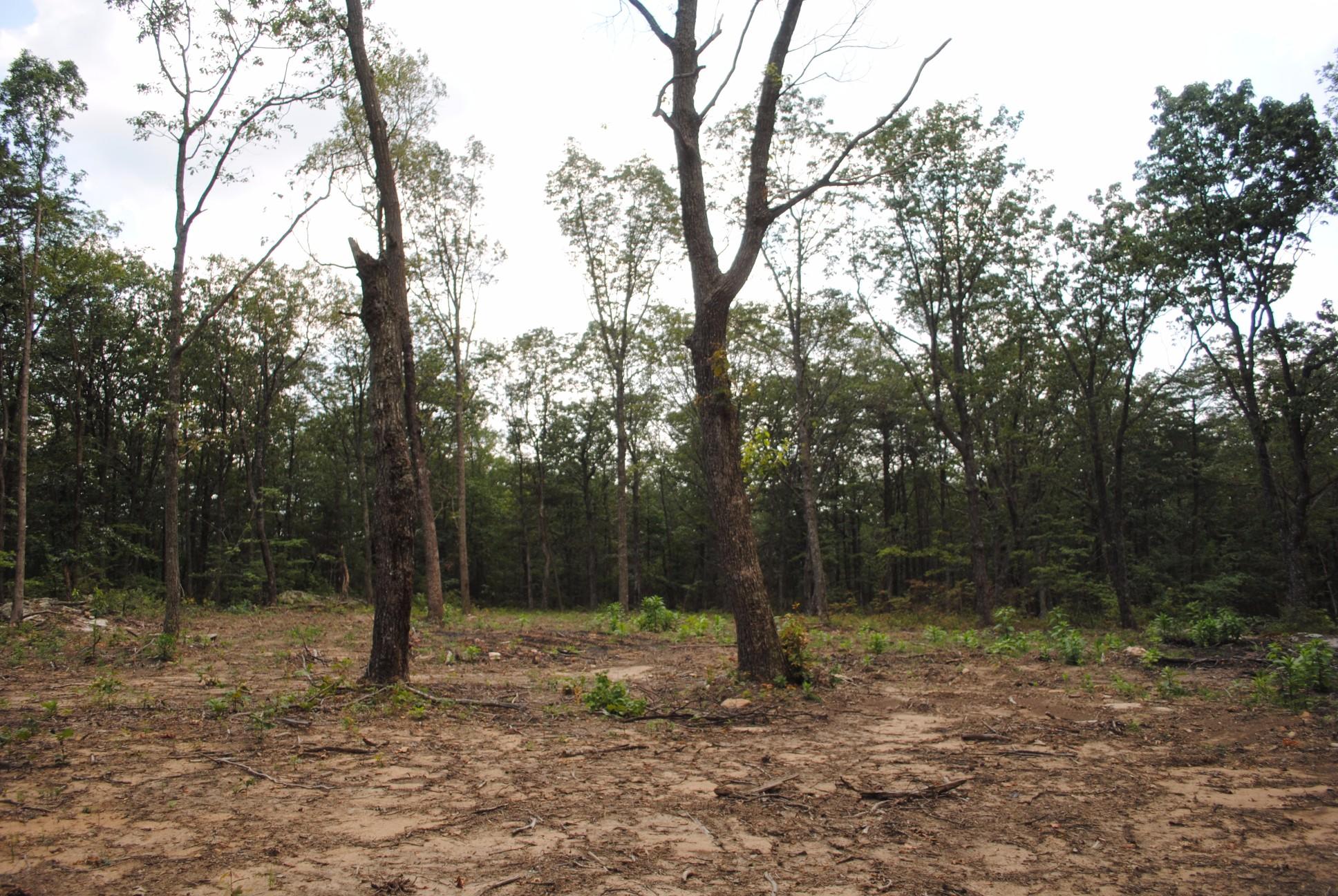 11944 Hwy 157 Rising Fawn Ga 30738, Unit 4 Rising Fawn, GA 30738 - Photo 34 of 46 DSC_0034
