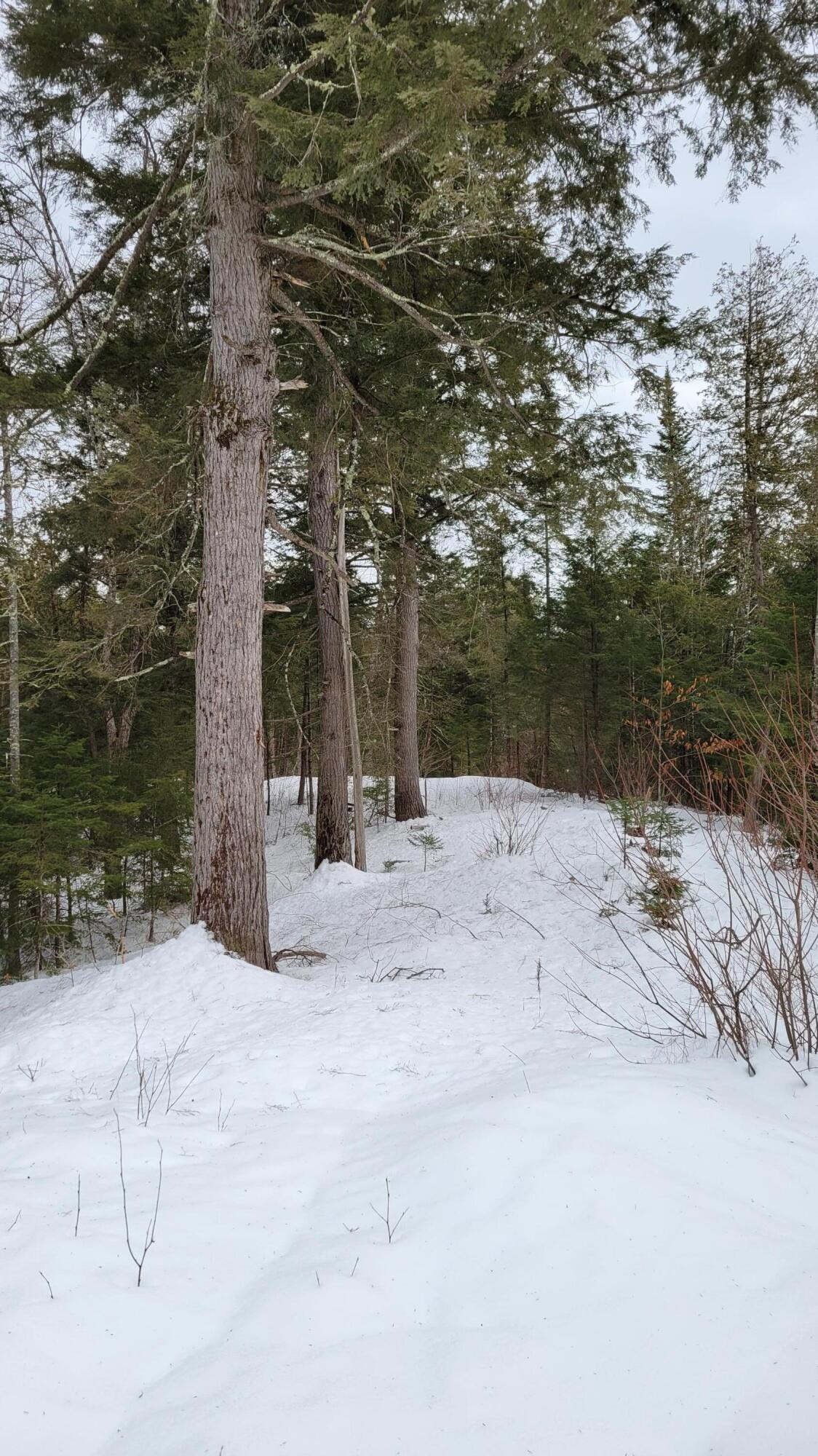 0 Range Road East Dover-Foxcroft, ME 04426 - Photo 12 of 23 Map 12 Lot 24 (11)