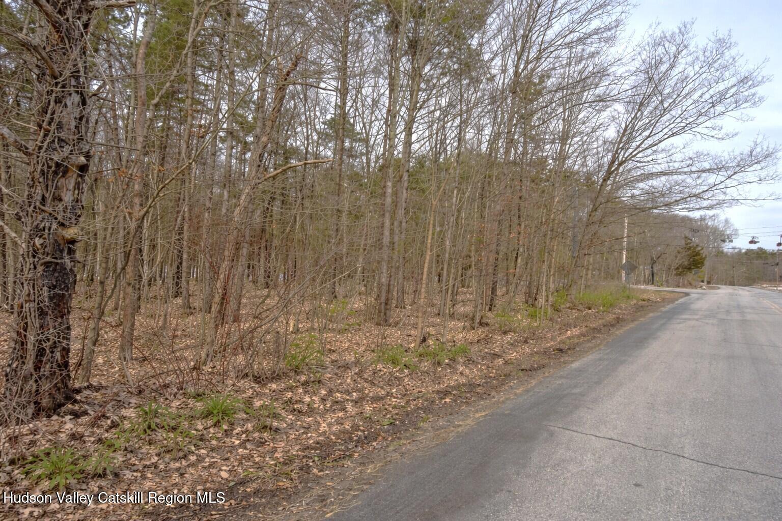Tbd Silver Spur Road West Cairo, NY 12413 - Photo 3 of 11 3