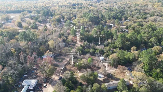 a view of a city with lush green forest