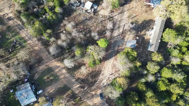 a view of a big yard with lots of bushes