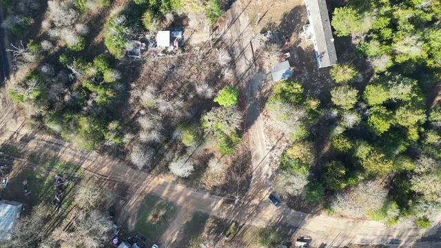a view of dirt yard with a large tree