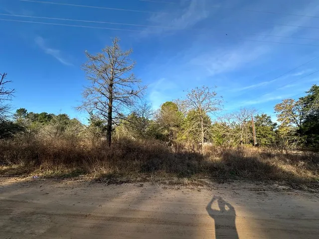 a view of a yard with a tree