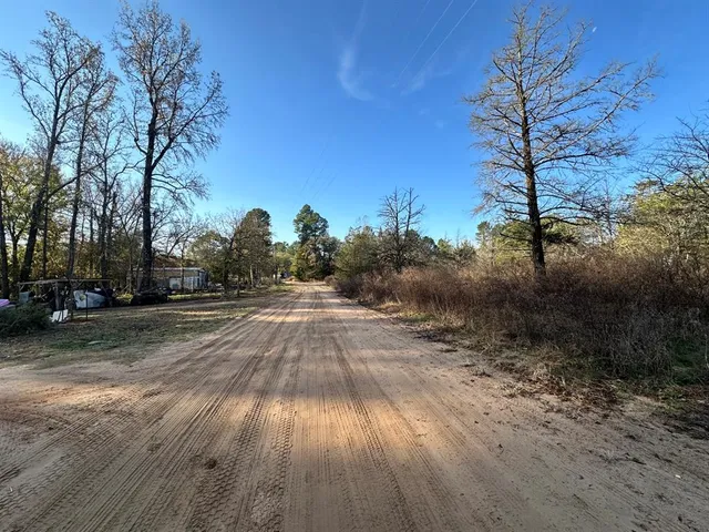 a view of a yard with trees