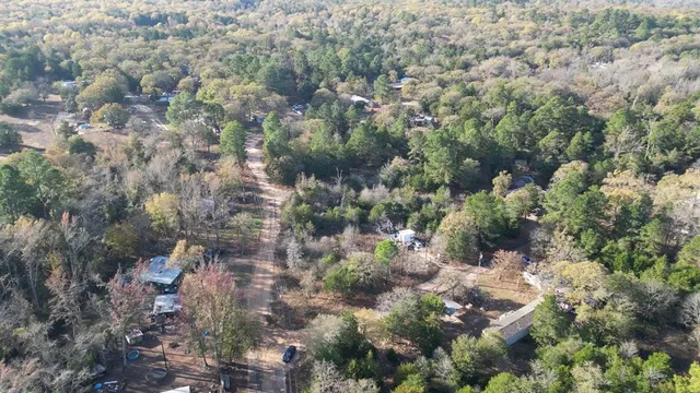 a view of a city with lush green forest