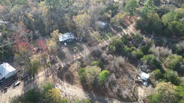 a view of a tree in a yard