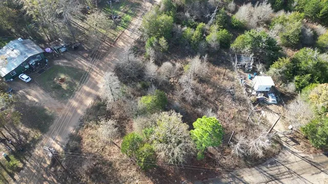 a picture of flowers