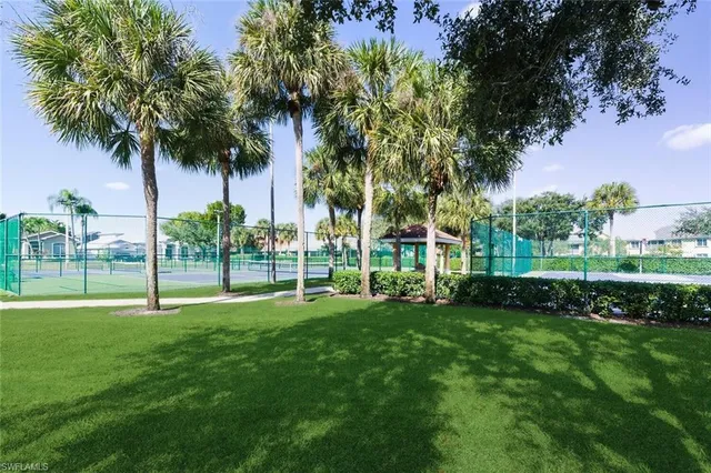 a view of a park with a tree in front of it