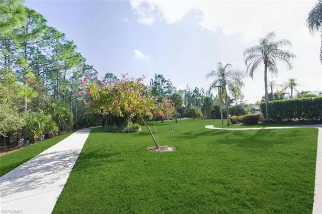 a view of a park with a houses