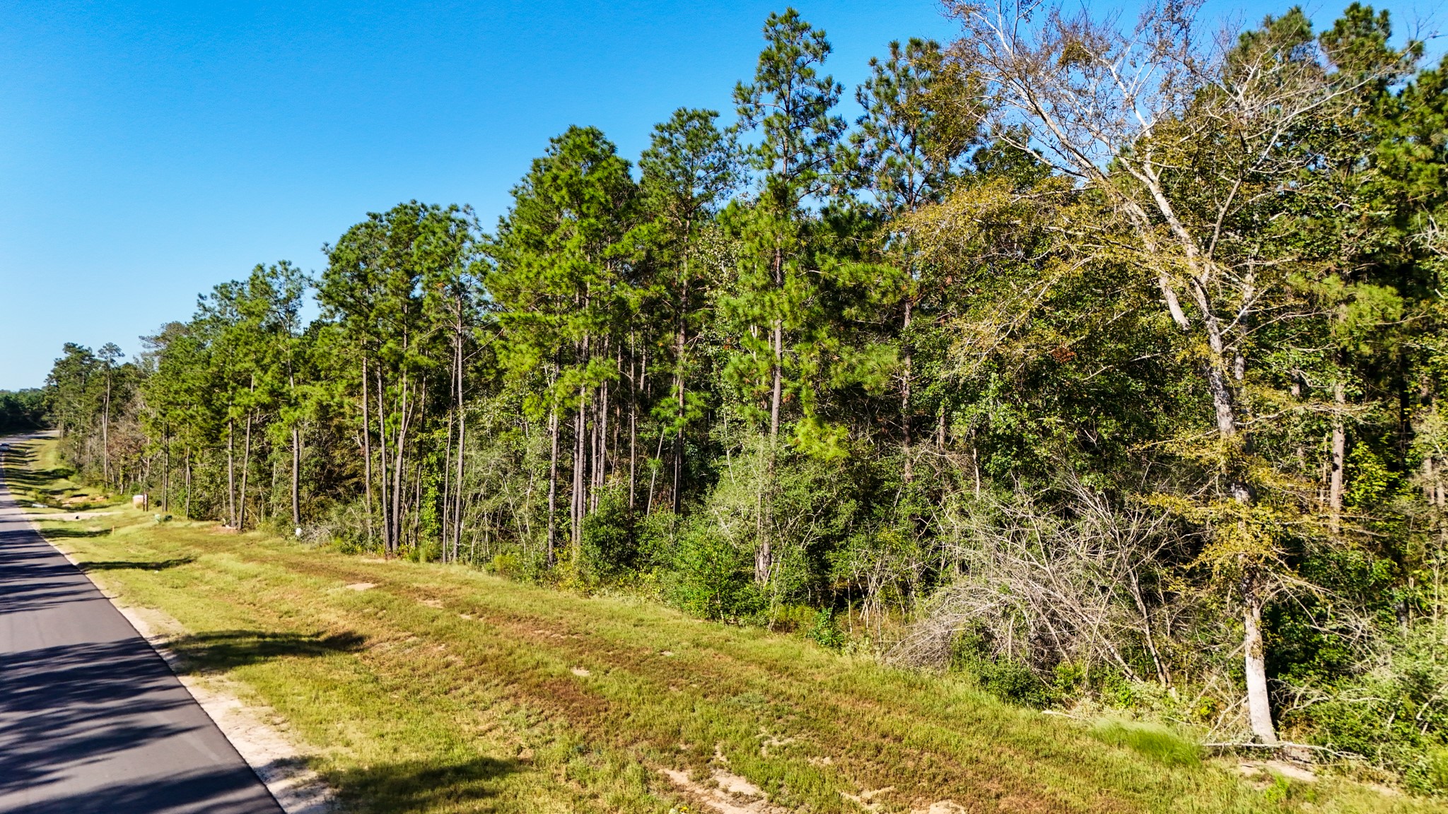 15821 Ridge Rock Road Willis, TX 77378 - Photo 17 of 21 The tree coverage allows for you to pick & choose what areas to clear or keep forested for shaded areas of the property as desired.
