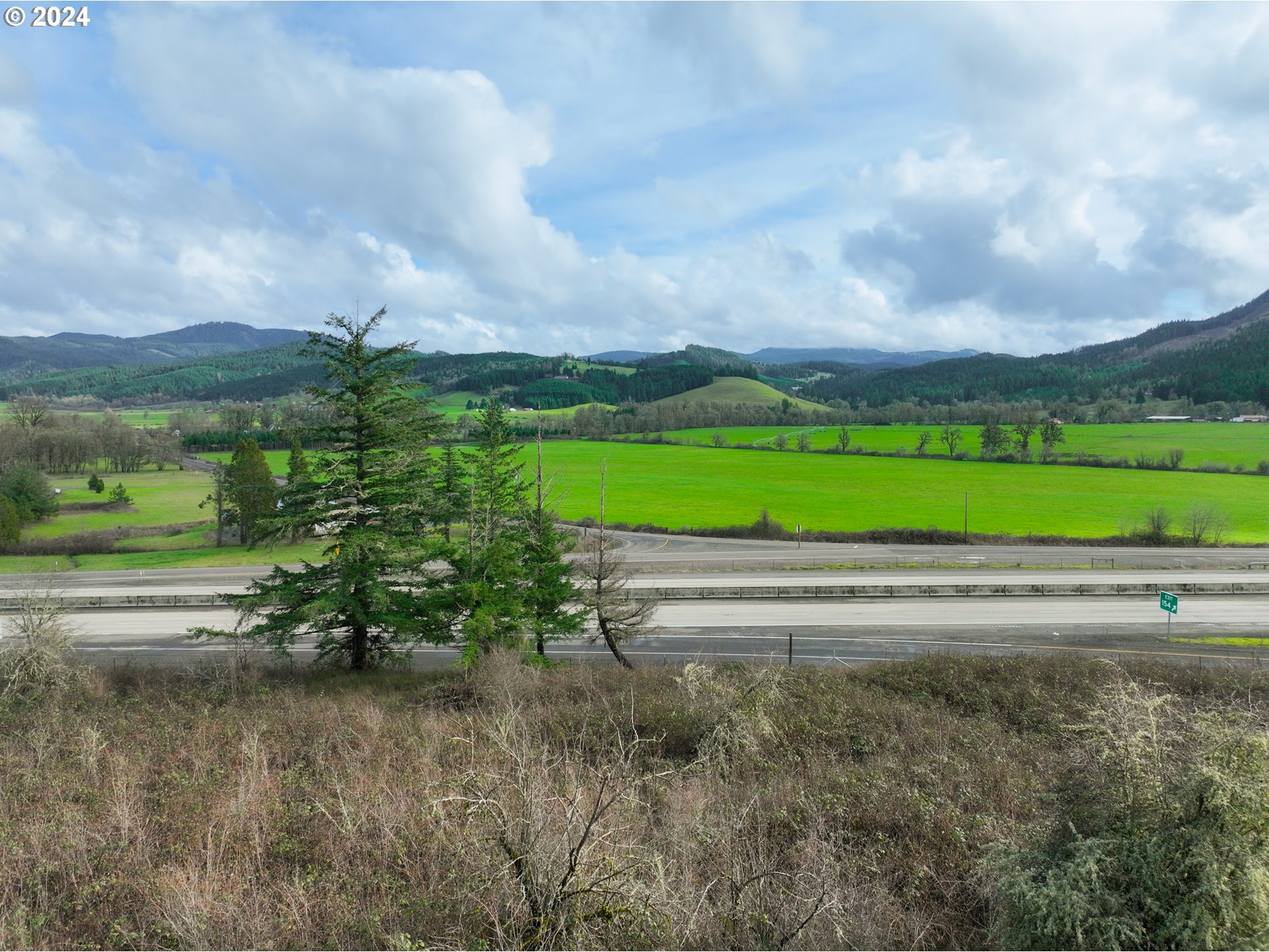 0 Anlauf Road Yoncalla, OR 97499 - Photo 11 of 14 a view of green field with clear sky
