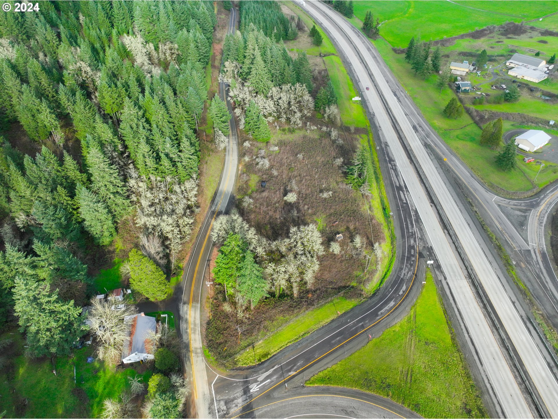 0 Anlauf Road Yoncalla, OR 97499 - Photo 4 of 14 a view of a yard