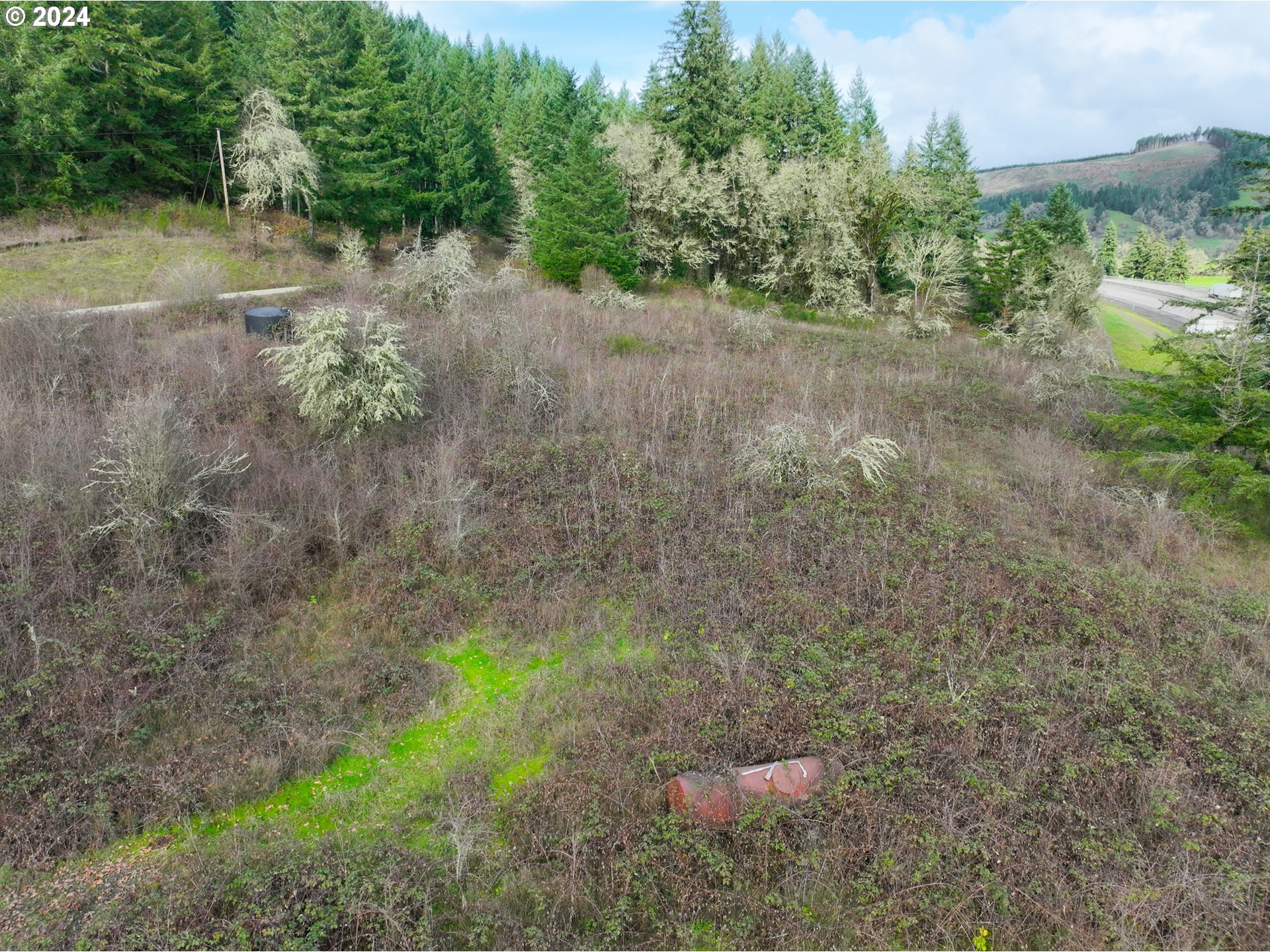0 Anlauf Road Yoncalla, OR 97499 - Photo 9 of 14 a view of a yard with a tree