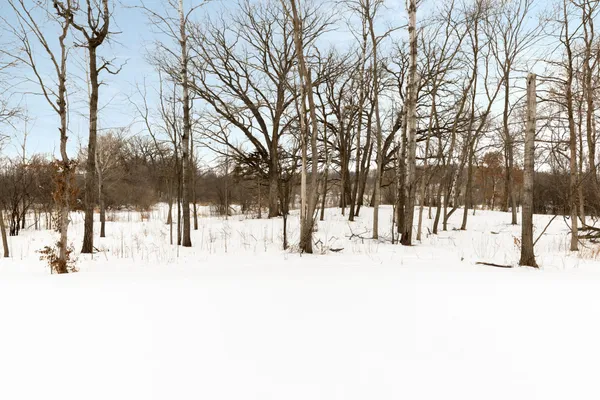 $2,795,900 | 10393 Pheasant Ridge Road, Victoria, MN 55318