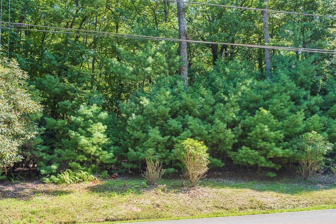 Country Club Road, Unit 44R Glade Valley, NC 28627 - Photo 1 of 4 Gallery Image 1