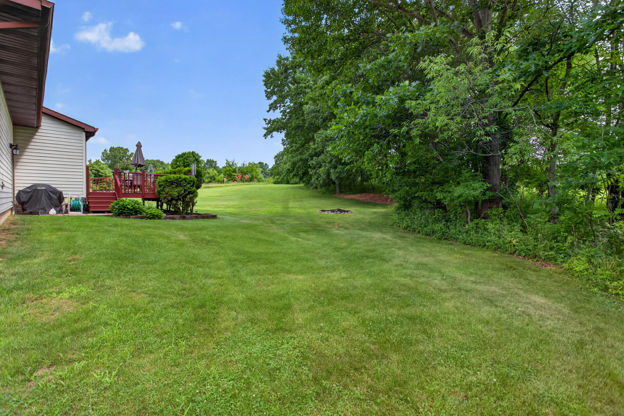3651 Dexter Trail Stockbridge, MI 49285 - Photo 8 of 54 Yard