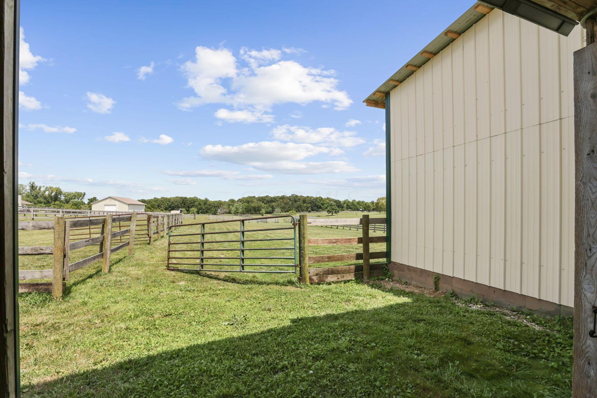 6394 Graessle Road London, OH 43140 - Photo 45 of 62 pasture