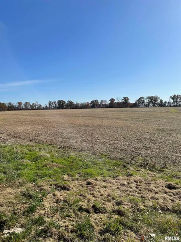 $750,000 | 17726 Quiet Acres Road, Scheller, IL 62883