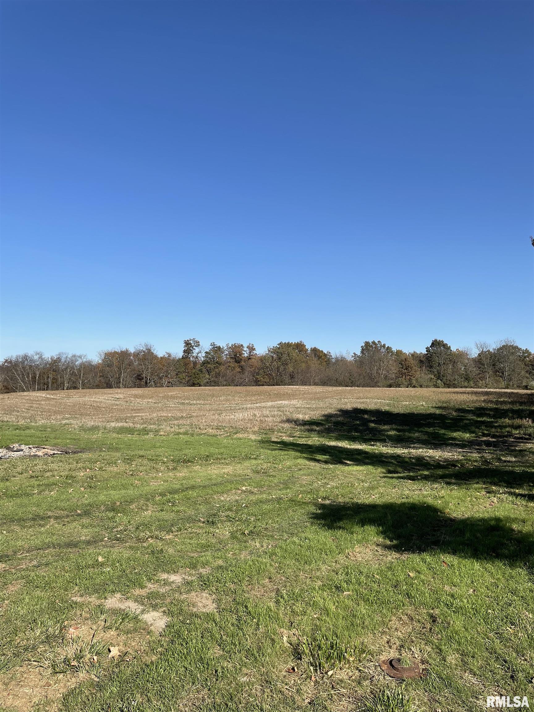 17726 Quiet Acres Road Scheller, IL 62883 - Photo 18 of 19